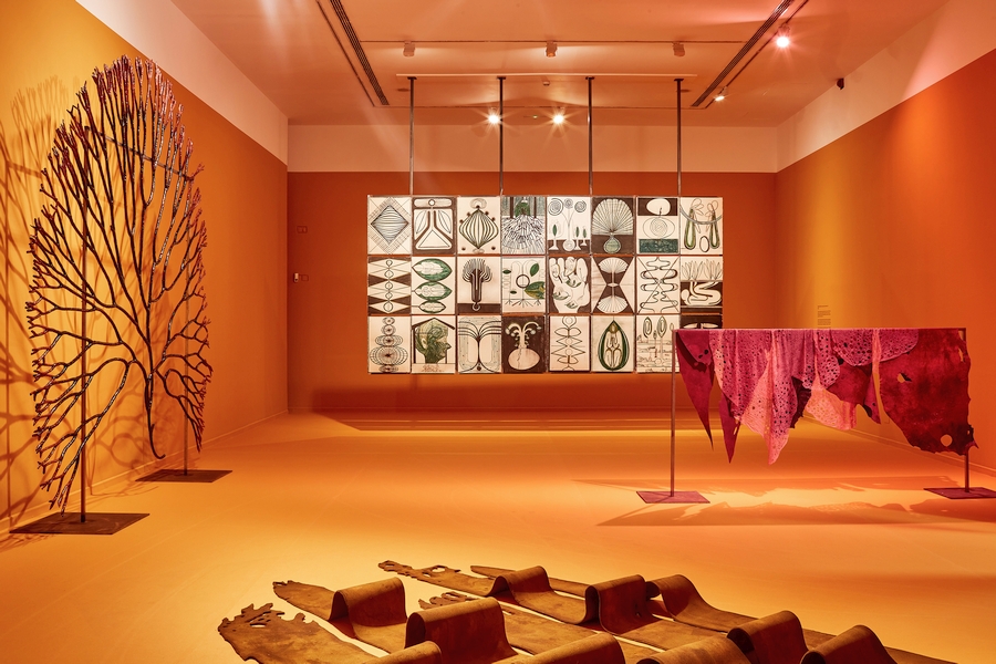 Vista de la exposición "Un encuentro vegetal" en La Casa Encendida, Madrid, 2021.
