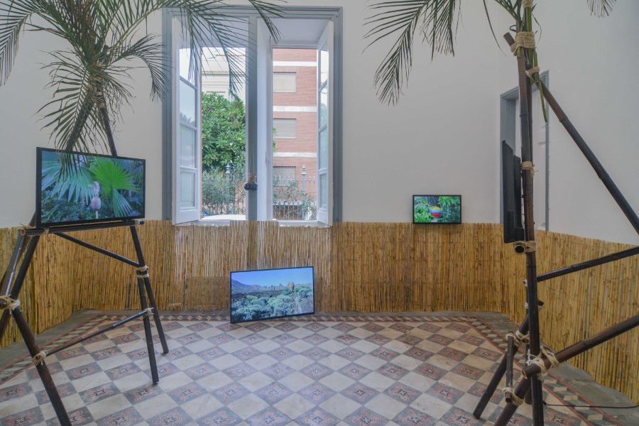 Vista de la exposición “No me toquen las maracas”, de Marco Montiel-Soto, en Batalla, Tenerife, Islas Canarias, España, 2021. Cortesía del artista y Batalla