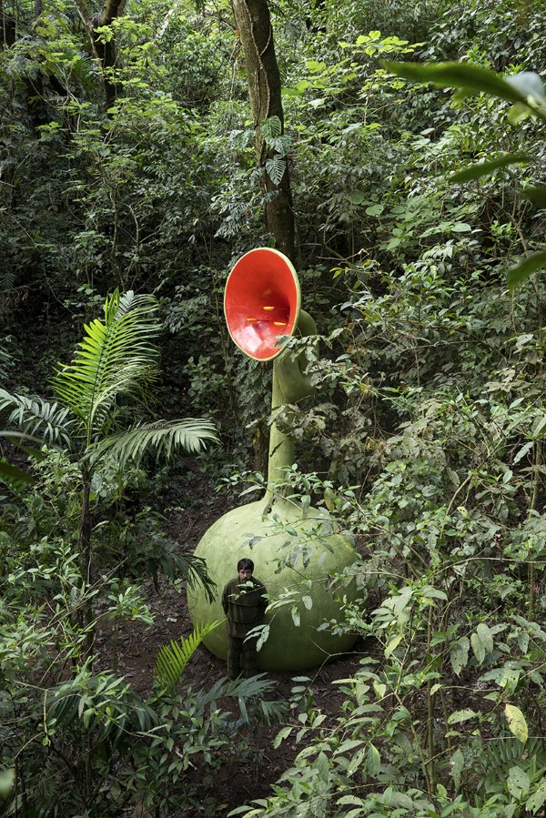 Eduardo Navarro, Oído vegetal, 2021, instalación de sitio específico, semi-permanente, en Green Rush, Ciudad de Guatemala, 650 x 250 x 250 cm. Cortesía del artista y Proyectos Ultravioleta