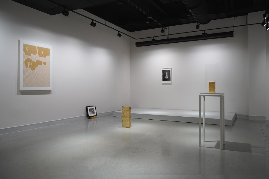Vista de la exposición "We wish we could have stayed home", de Esperanza Mayobre, en Kent Place Gallery, Nueva Jersey, EEUU, 2022. Cortesía de la artista y la galería