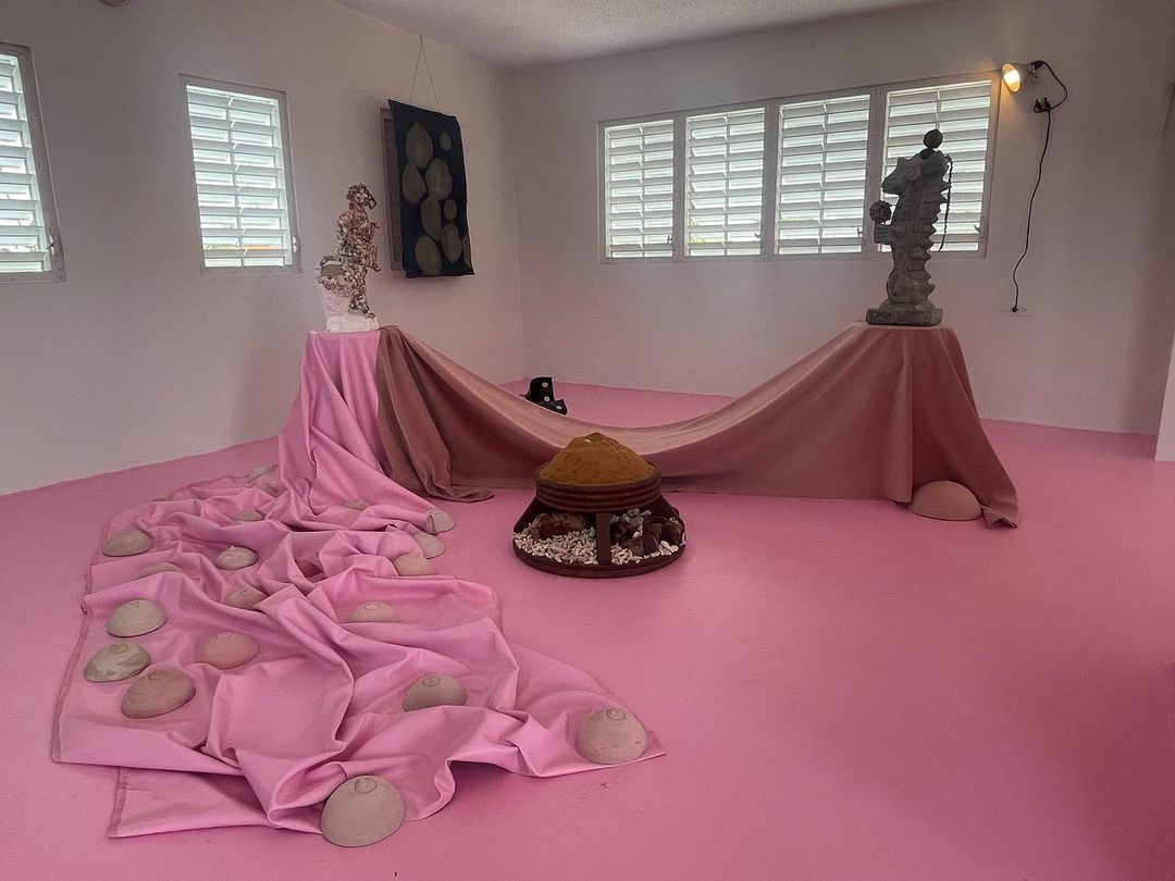 Vista de la exposición "Una gota en el monte", de Elizabeth Robles, en Burning House, Hato Rey, Puerto Rico, 2022. Foto cortesía de la artista