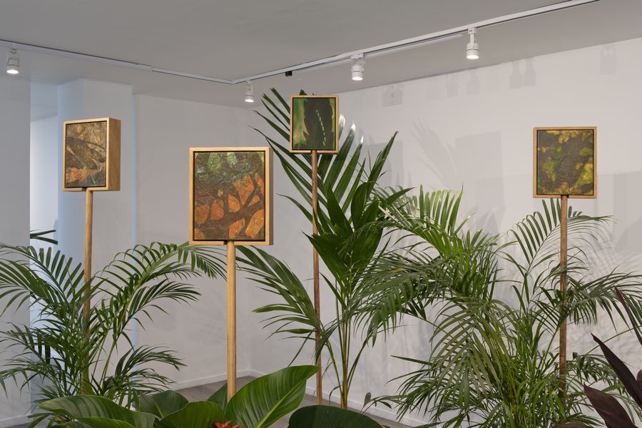 Vista de la exposición “Tierra y sombras”, de Quisqueya Henríquez, en FORO.SPACE, Bogotá, 2022. Foto cortesía de la galería