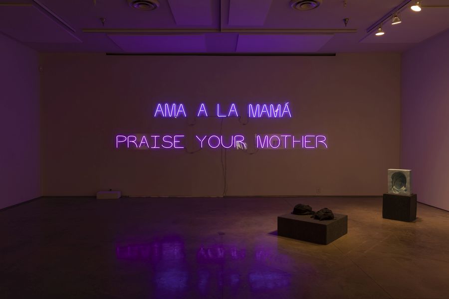 Mariana Parisca, PRAISE YOUR MOTHER / AMA A LA MAMÁ, 2021. In collaboration with Sandy Williams IV. LED lights, light gels, 13 x 126 in / 13 x 172 in. Photo: Stacey Evans