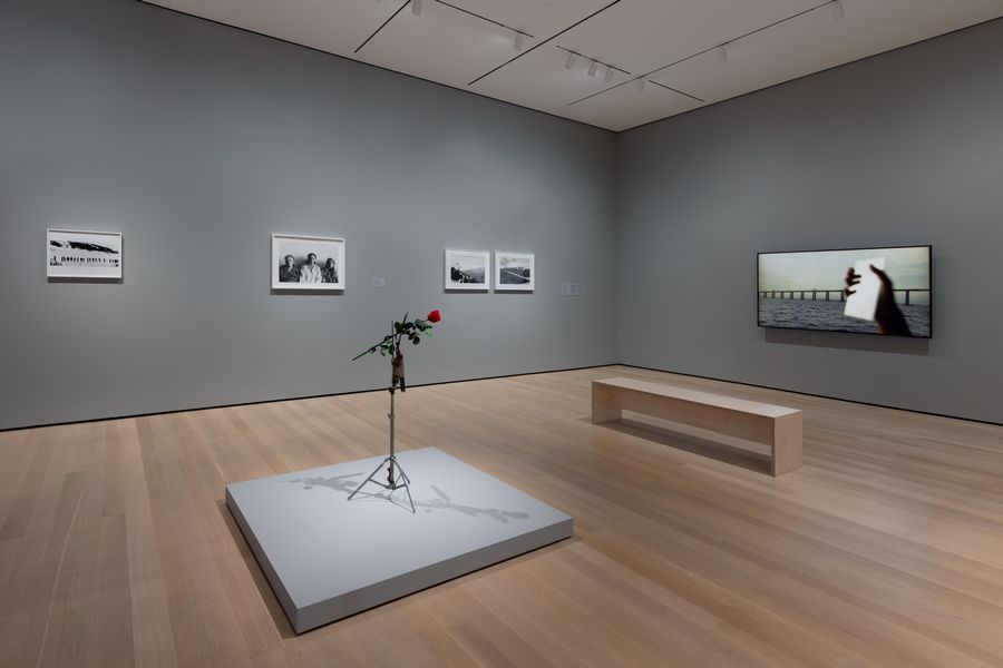 Vista de “Chosen Memories: Contemporary Latin American Art from the Patricia Phelps de Cisneros Gift and Beyond”, The Museum of Modern Art, Nueva York, 2023. Foto: Jonathan Dorado
