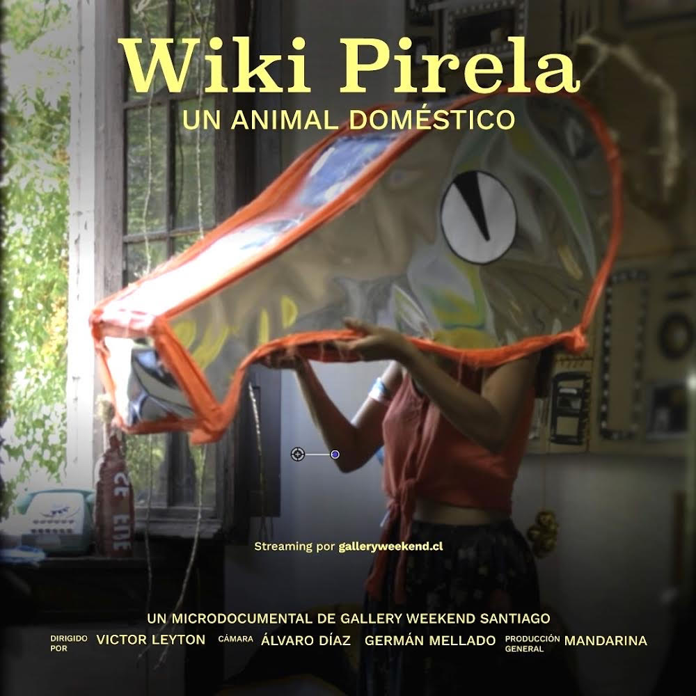 Wiki Pirela still de video Un animal doméstico