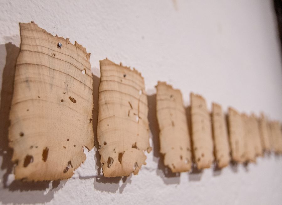 Lourdes de la Riva, "Caligrafía de la destrucción", 2022. Instalación con maderas de 1870 intervenidas por termitas, 150 x 60 x 100 cm. Foto: Sergio Muñoz para Fundación Paiz