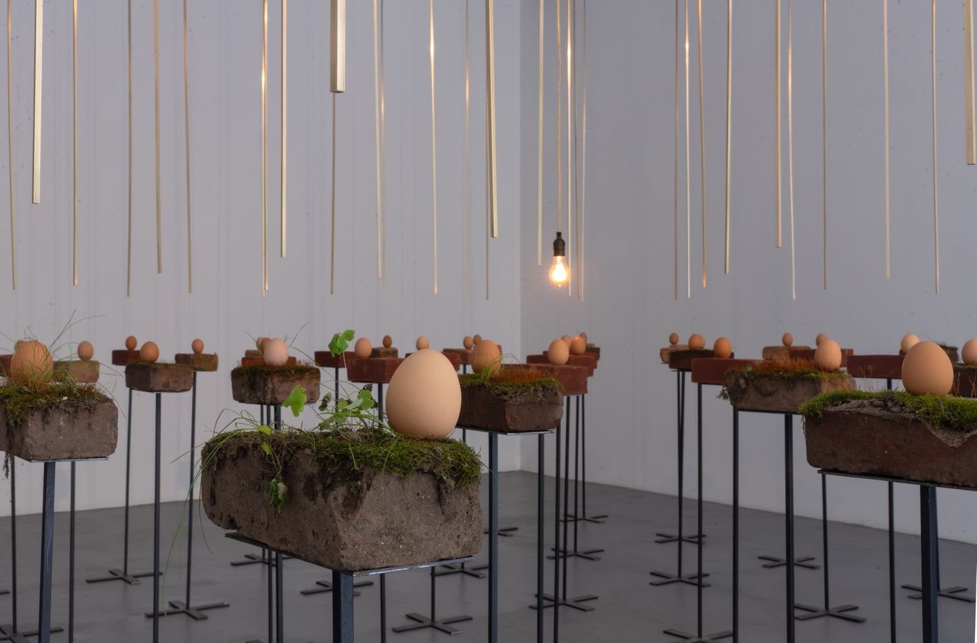 Gabriel Chaile, Salir del surco al labrar la tierra: delirios de grandeza II, 2014, 49 huevos, ladrillos,
azófares, musgo, hierro, 383 x 441 cm. Cortesía: Barro NY