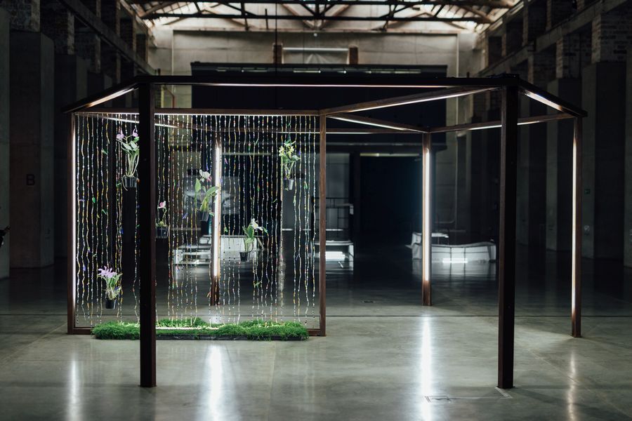 Vista de “Cantándole a las plantas”, de Naufus Ramírez-Figueroa, en el Museo de Arte Moderno de Medellín (MAMM), 2023.Foto: Yohan López. Cortesía: MAMM