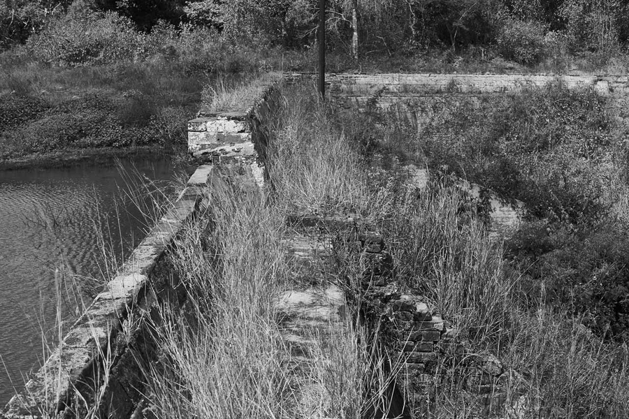 Eunice Adorno, El agua era salvaje. Cortesía de la autora