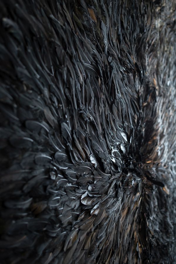 Leandro Pesantes, El animal soñado, 2018. Plumas negras de ave, 285 x 225 cm. Colección Giaconi Raad. Foto: Felipe Ugalde. Cortesía: Il Posto