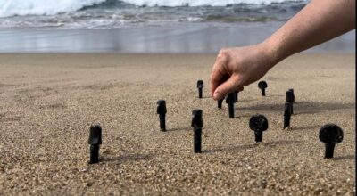 Pável Aguilar, Litoral (2024), still de video. Clavijas de violín enterradas sobre la arena, dibujando la marea y afinando el océano. Cortesía del artista