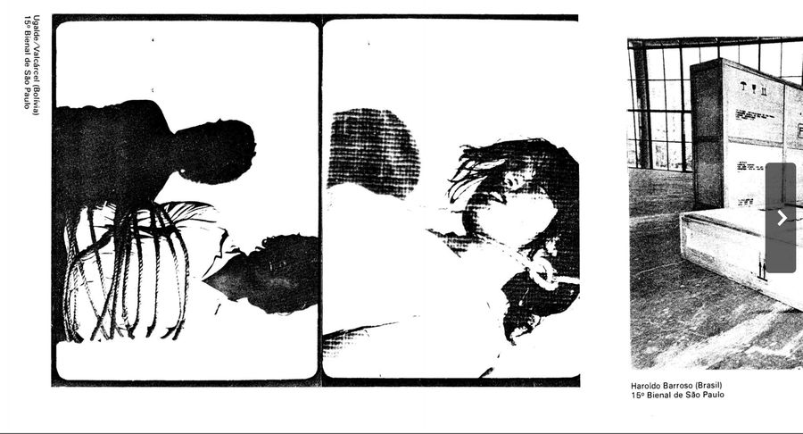 Detalle de las obras de Ugalde y Valcárcel, según el Catálogo de la 15ª Bienal de São Paulo (1979).