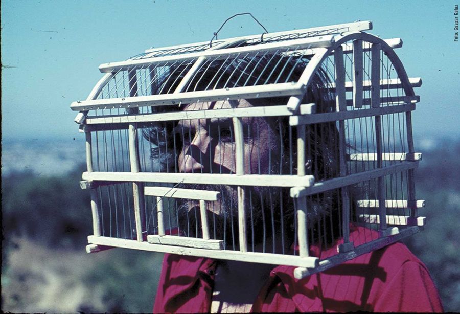 Guillermo Núñez en una de sus "jaulas". Foto: Gaspar Galaz