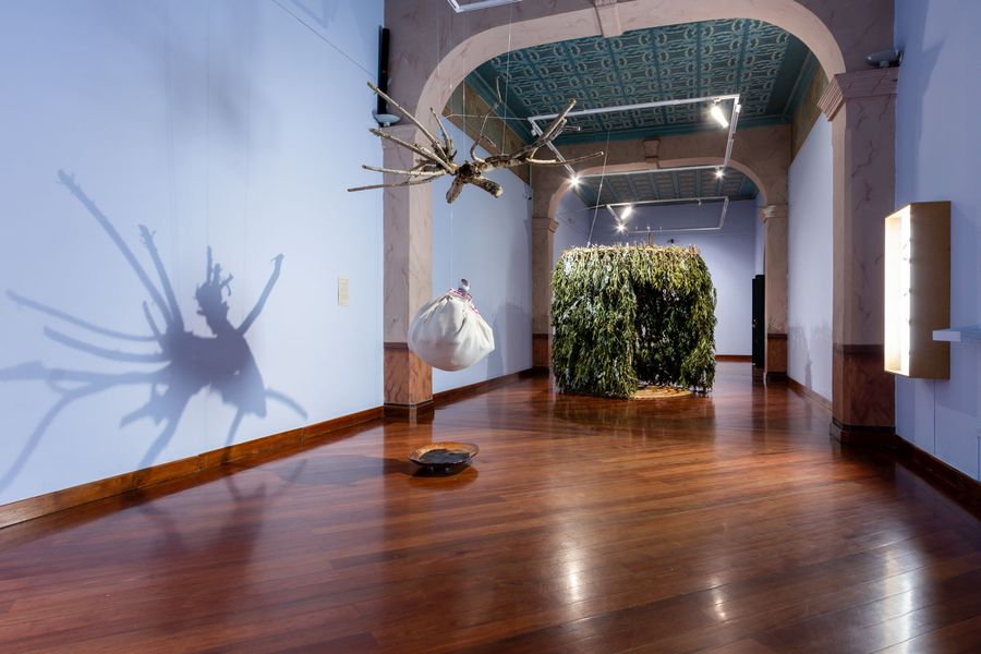 Al fondo: Manai Kowii, Jampipak Samay – Aliento de sanación, 2023. Instalación con Audio. Limpias: Mama Luzmila Morán y tayta Rafael Carrascal. Grabación y edición de sonido: Esteban Lema. Estructura de carrizo: Alfonso Vásquez. Plantas: Mujeres de la Plataforma Central 1ero de Mayo del Mercado San Roque. Estera de totora: Luzmila Hinojosa. Foto: Alexander Alcocer C.