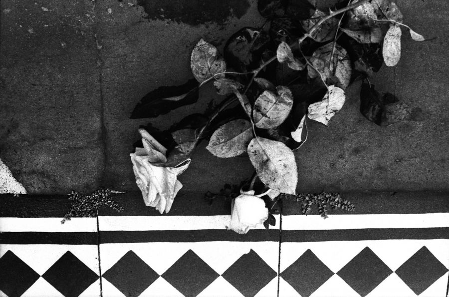 Soledad López, de la serie Cementerio General del Sur, Caracas, Venezuela, ca. 1972-1976. © Archivo Fotografía Urbana