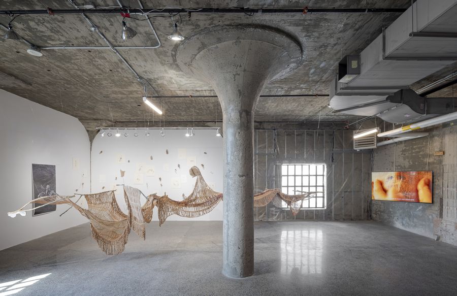 Obras de Cristina Flores Pescorán en la Bienal de Arte de Toronto, 2024. Vista de la instalación. Foto: Toni Hafkenscheid.