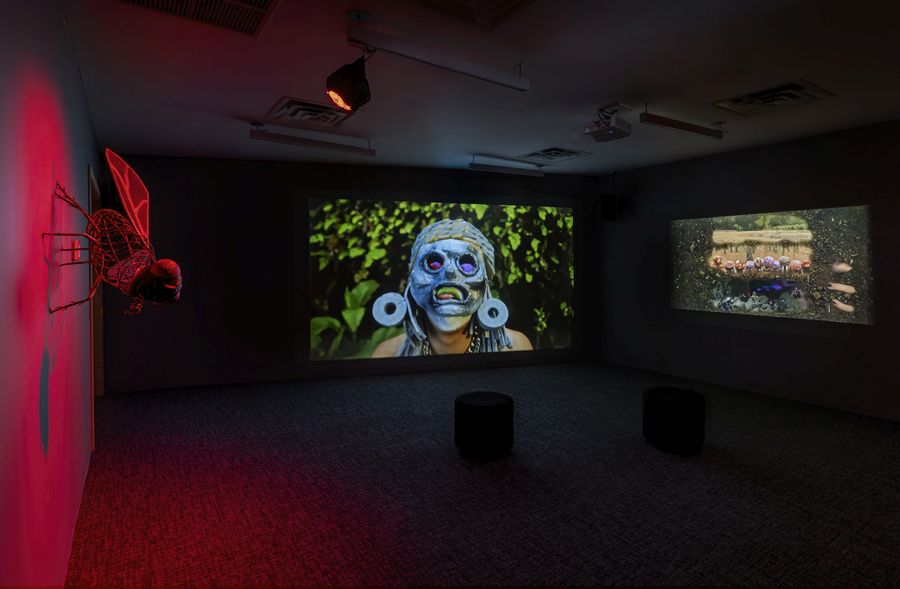 Naomi Rincón Gallardo, Filiación abono, 2024. Videoinstalación. Encargo conjunto de la Bienal de Arte de Toronto y KADIST. Foto: Toni Hafkenscheid.