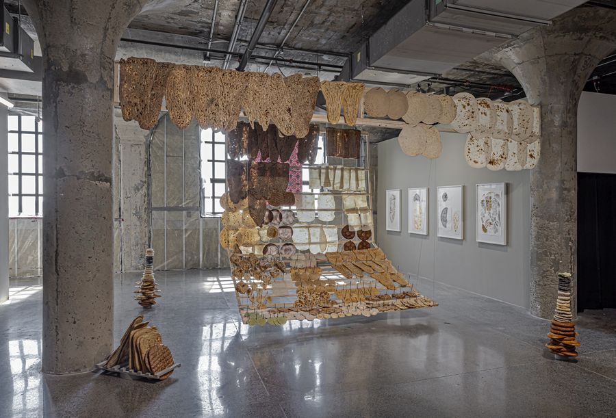 Sameer Farooq, Biblioteca Flatbread, 2024. Bienal de Arte de Toronto, 2024. Comisariada y presentada conjuntamente por la Bienal de Arte de Toronto y el Centro de Arte Agnes Etherington. Cortesía del artista y de la Galerie Nicolas Robert. Fotografía: Toni Hafkenscheid.