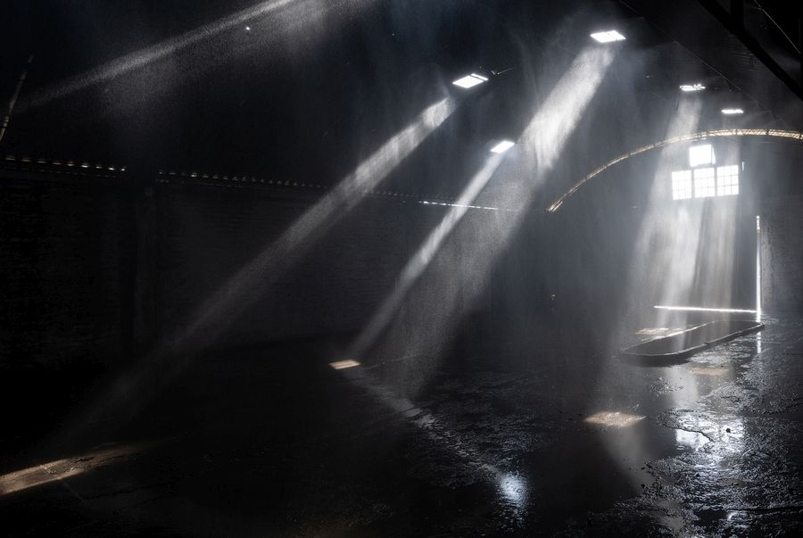 Precipitar (2018-2022) de Sebastián Preece. Intervención, lluvia bajo cubierta de un galpón de 300 m2. Plansa y microaspersores riego, agua y luz natural. Fotografía: Jorge Gronemeyer.