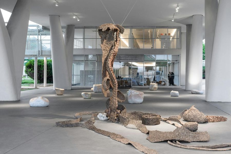 Advânio Lessa, Energía, 2014-16/2024, hierba de San Juan, vid de ajo, raíces diversas, serrín con cola y placa con la palabra «silencio». Colección Vida - Colección Studio Advânio Lessa. Foto: Estúdio em Obra