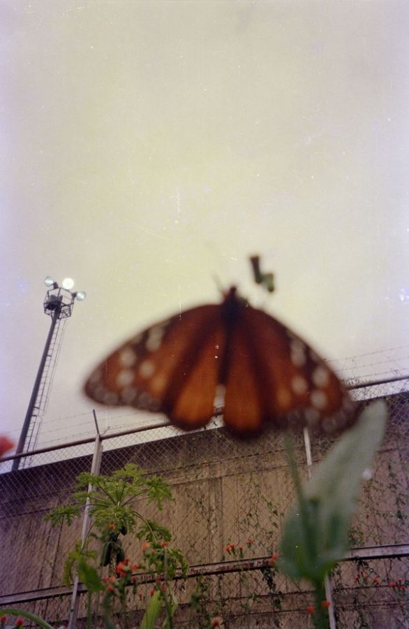 Armando Rojas, Sin título, 2011. De la serie Una Luz: Photography Under Confinement in Venezuela, 2010-12. Impresión de inyección de tinta de archivo. Cortesía de Violette Bule