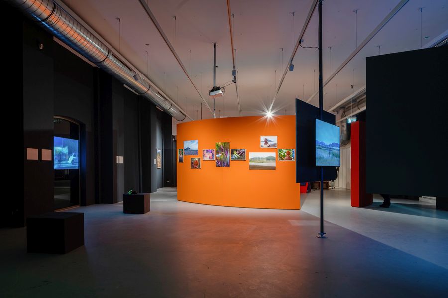 Installation view (Re)Born from Volcanos, ifa-Galerie Stuttgart, 2024 © ifa. Photo: Dominique Brewing