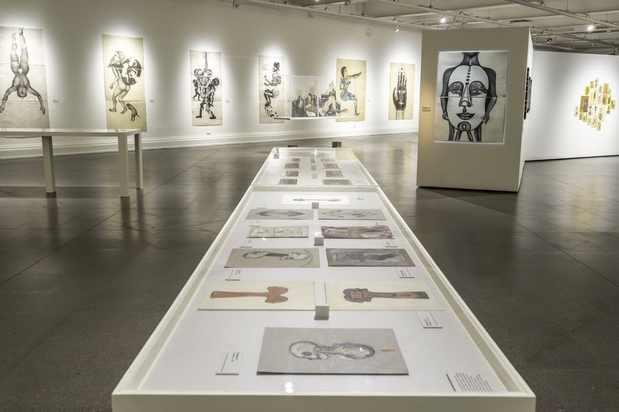 Sandra Vásquez de la Horra, Los Volcanes Despiertos, Museo Nacional de Bellas Artes (MNBA), Santiago, 2024-2025. Cortesía: MNBA