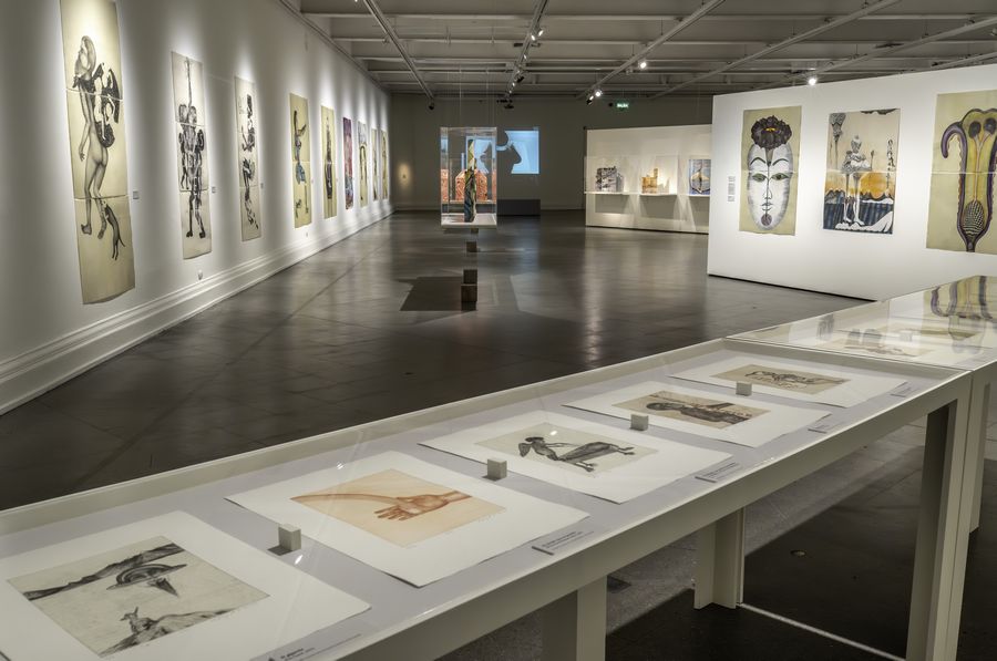 Sandra Vásquez de la Horra, Los Volcanes Despiertos, Museo Nacional de Bellas Artes (MNBA), Santiago, 2024-2025. Cortesía: MNBA