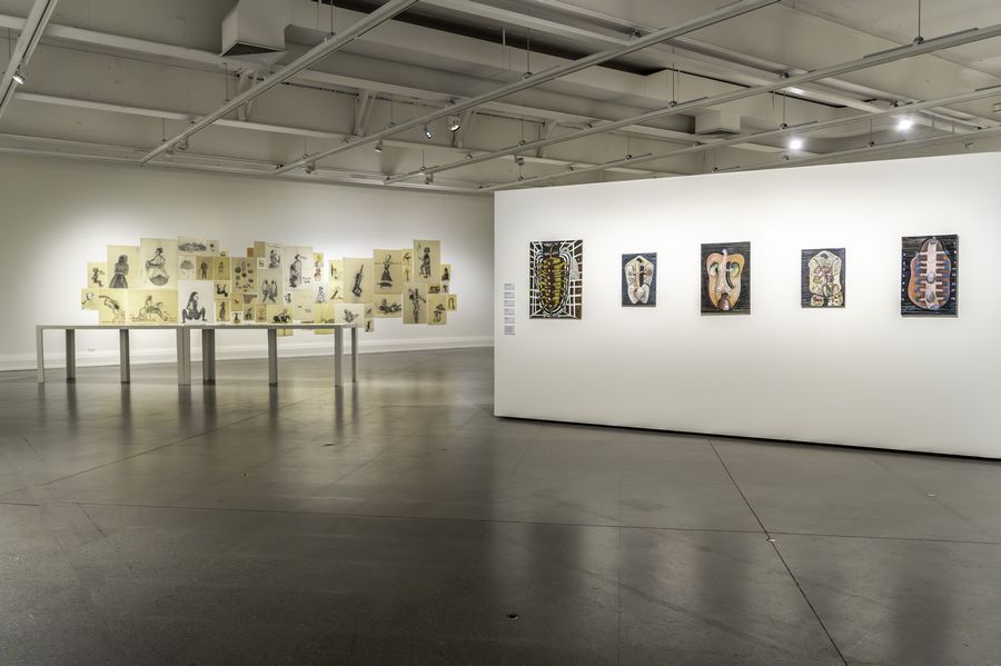 Sandra Vásquez de la Horra, Los Volcanes Despiertos, Museo Nacional de Bellas Artes (MNBA), Santiago, 2024-2025. Cortesía: MNBA