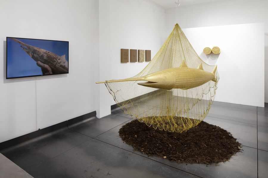 Vista de la exposición Ana Hernández: Ladi Beñe, Campeche, Ciudad de México, 2025. Cortesía de la artista y Campeche. Foto: Ramiro Chaves