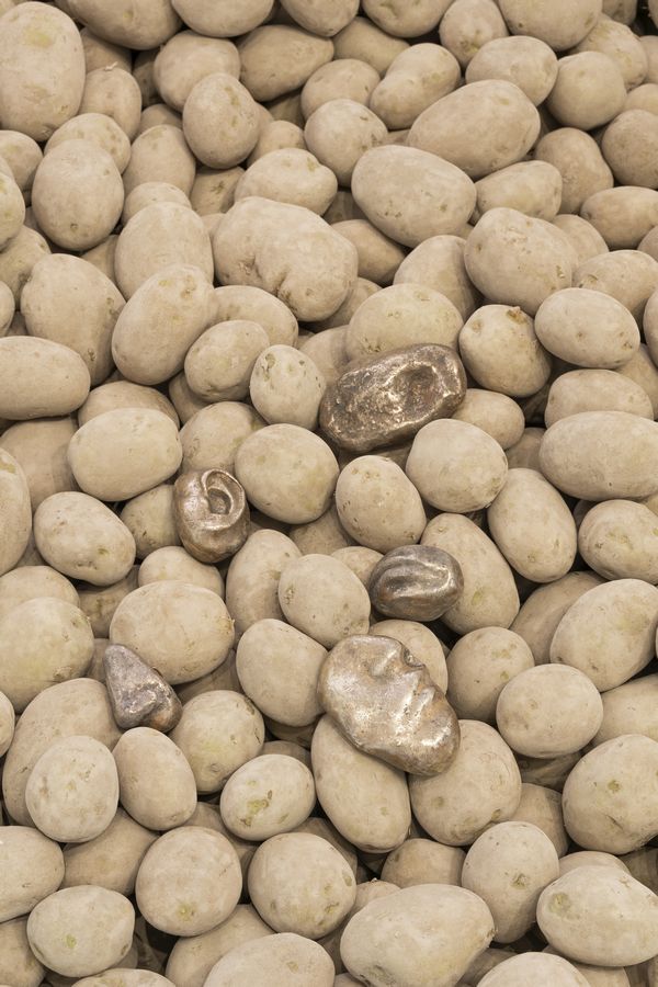 Giuseppe Penone, Patate, 1977 (detalle), bronce, papas. Dimensiones Foto: Nicolas Brasseur/Colección Pinault