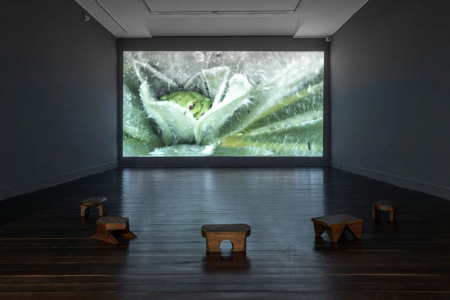 Vista de la exposición Primera vuelta de la espiral, de Camila Rodríguez Triana, en Casas Riegner, Bogotá, 2025. Foto cortesía de la galería