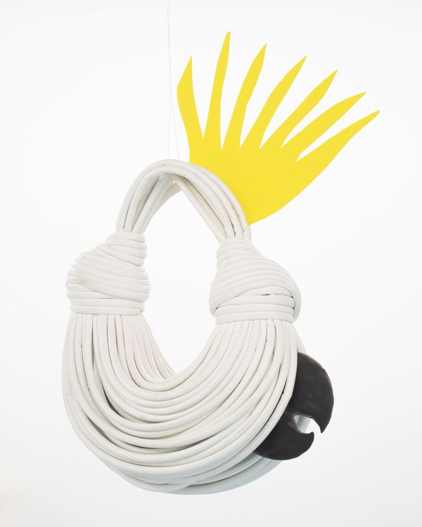 Sergio Rojas Chaves, Cartera Cacatúa, 2025. En Actúa Cacatúa en salita_temporal, San José, Costa Rica, 2025. Cortesía del artista