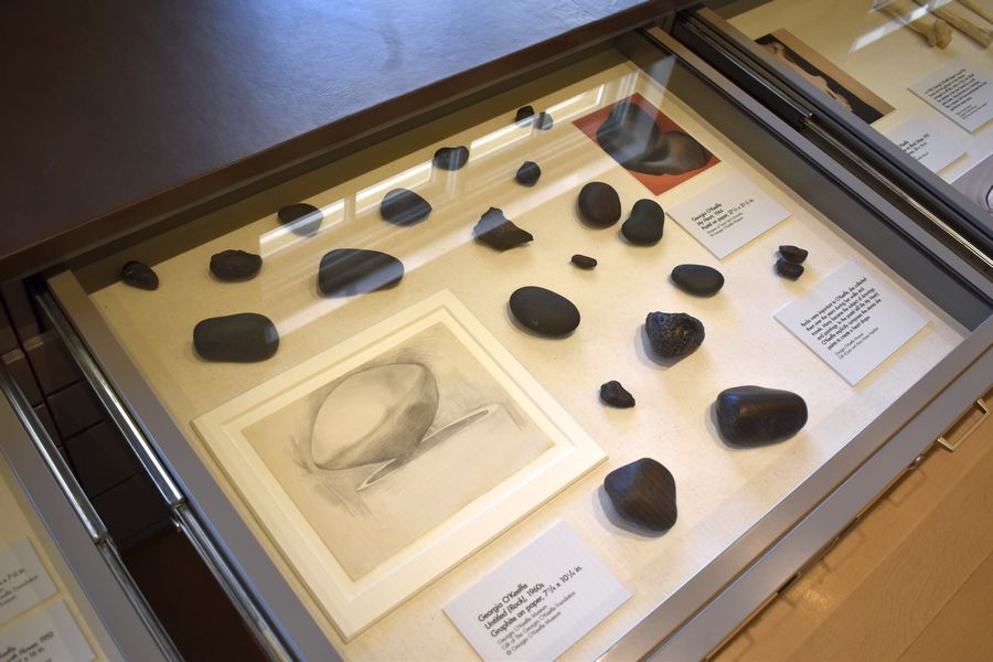 Colección de piedras de Georgia O'Keeffe en el archivo y biblioteca de la artista, actualmente resguardados en Santa Fe. Fotografía: Ariel Florencia Richards © The Georgia O'Keeffe Museum.