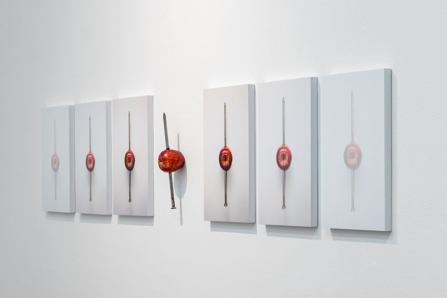 Vista de la exposición Obras referenciales, de Nan González, Carmen Araujo Arte, Caracas, 2025. Foto cortesía de la galería.