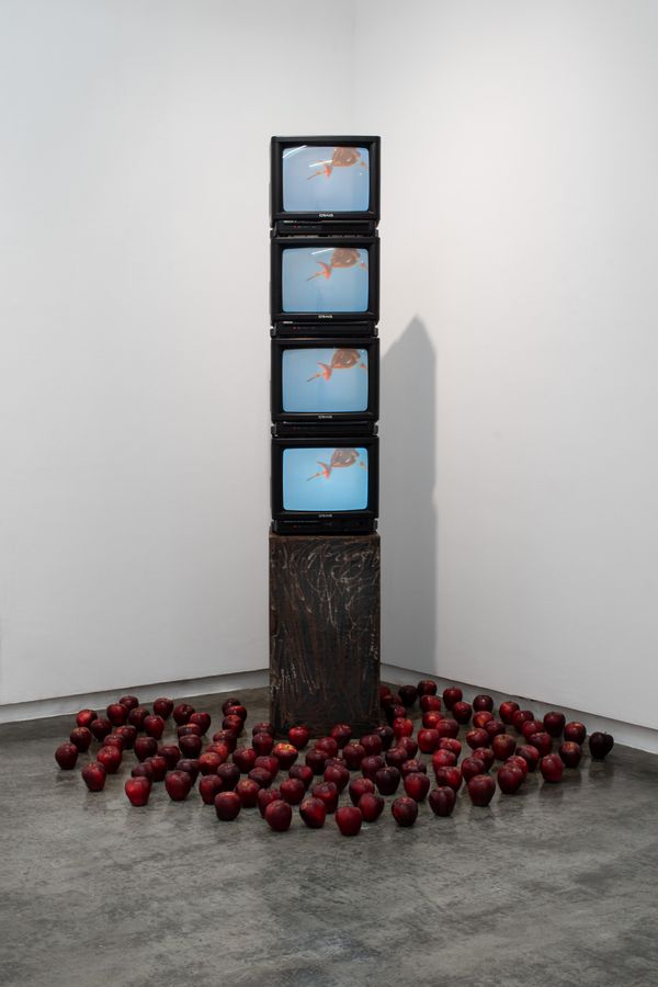 Vista de la exposición Obras referenciales, de Nan González, Carmen Araujo Arte, Caracas, 2025. Foto cortesía de la galería.