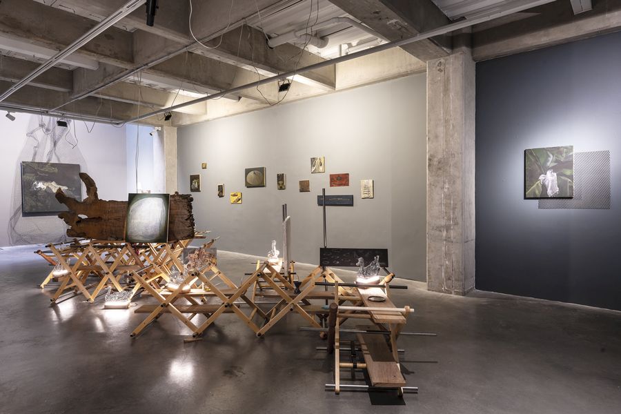 Vista de la exposición Teatro de los objetos: La casa de las moscas, mi reino por un burro, en Espacio Continuo, Bogotá, 2025. Foto cortesía de la galería
