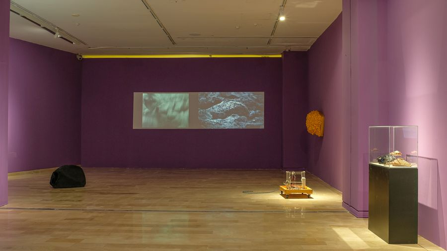 Vista de la exposición El Mundo en Llamas de Paul Rosero Contreras, Museo Antropológico y de Arte Contemporáneo (MAAC), Guayaquil, Ecuador. Foto: Ricardo Bohórquez
