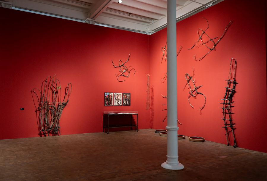 Vista de la exposición Marta Palau. Mis caminos son terrestres. Foto cortesía del Museu Tàpies, Barcelona, 2025.