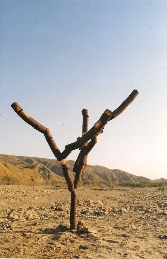 Alejandro Jaime, Nuevos brotes (Reforestando el basural) (2005). Instalación en espacio público, latas y basura recogida. Basurero municipal de Los Órganos, quebrada de Vichayito. Cortesía del artista
