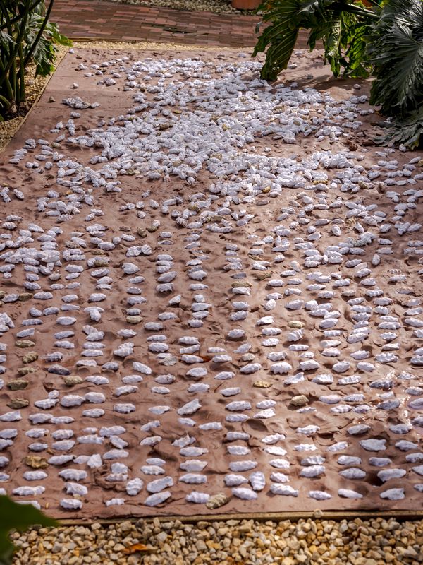 Mónica Restrepo, mater/madre, 2024. Piso de arcilla local, huellas de puños en papel procesado del archivo muerto de un ministerio del Estado colombiano Cambuche. Foto: Laura Sánchez. Cortesía: Fragmentos, Espacio de Arte y Memoria, Bogotá