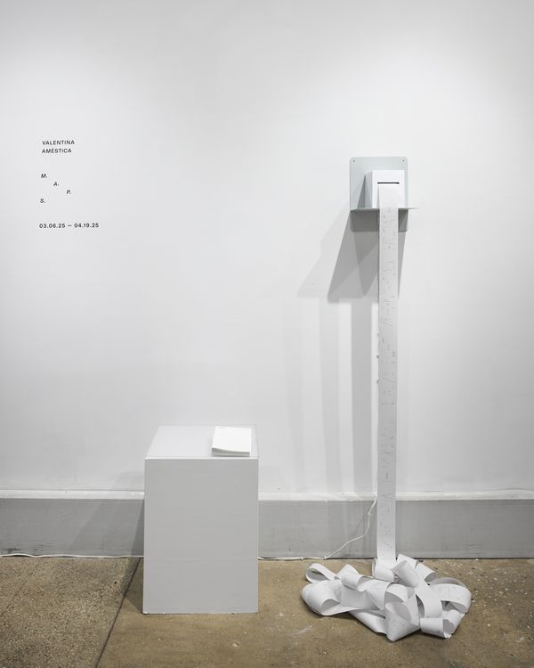 Valentina Améstica, M.A.P.S., Miriam Gallery, Brooklyn, Nueva York, 2025. Foto cortesía de Miriam Gallery. Diseño de mobiliario Andro Yurac