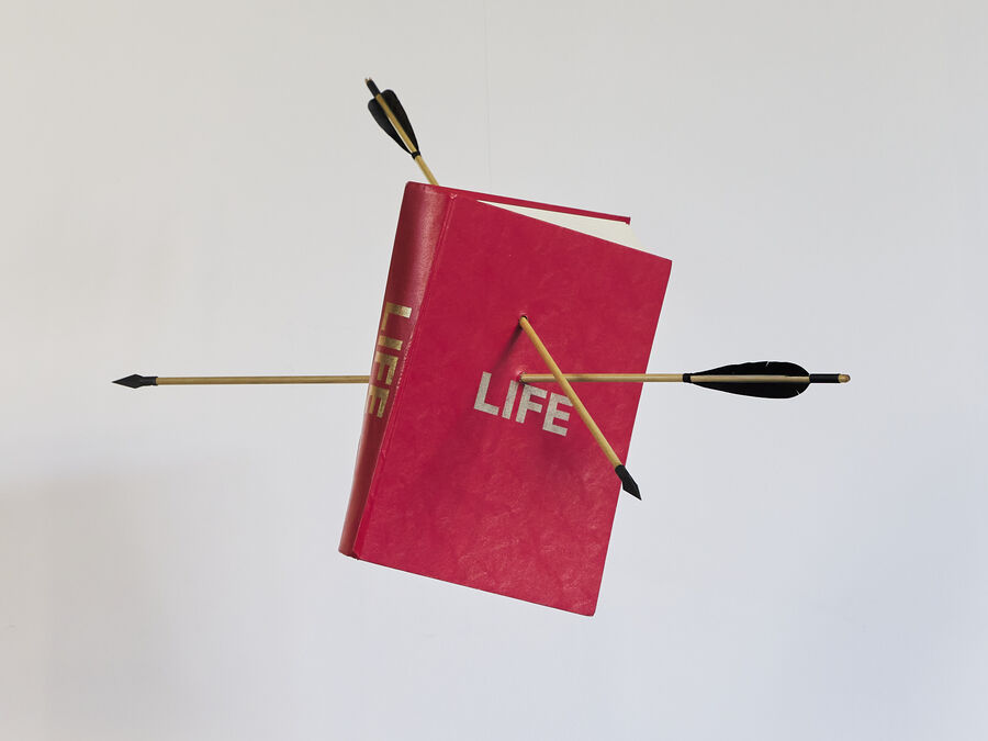 Gabriel Holzapfel, LIFE, 2022. Instalación/objeto intervenido; libro en blanco, flechas de madera punta metálica y monofilamento, 70 x 50 x 40 cm, altura variable. Foto: @embeleco.studio