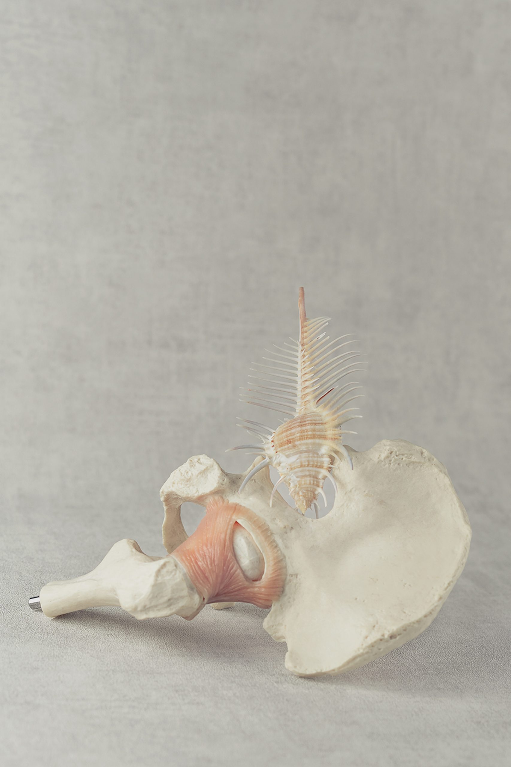 KATHERINNE FIEDLER